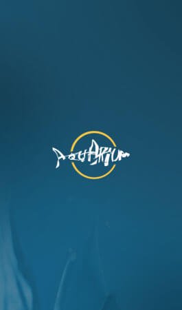 projects 02